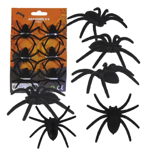 6 SPIDERS