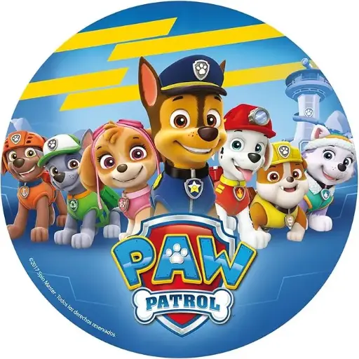 91 PIECE BIRTHDAY SET PAW PATROL