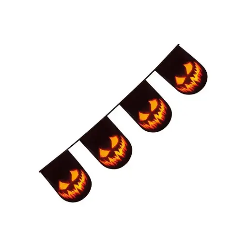GUIRLANDE DE FANIONS